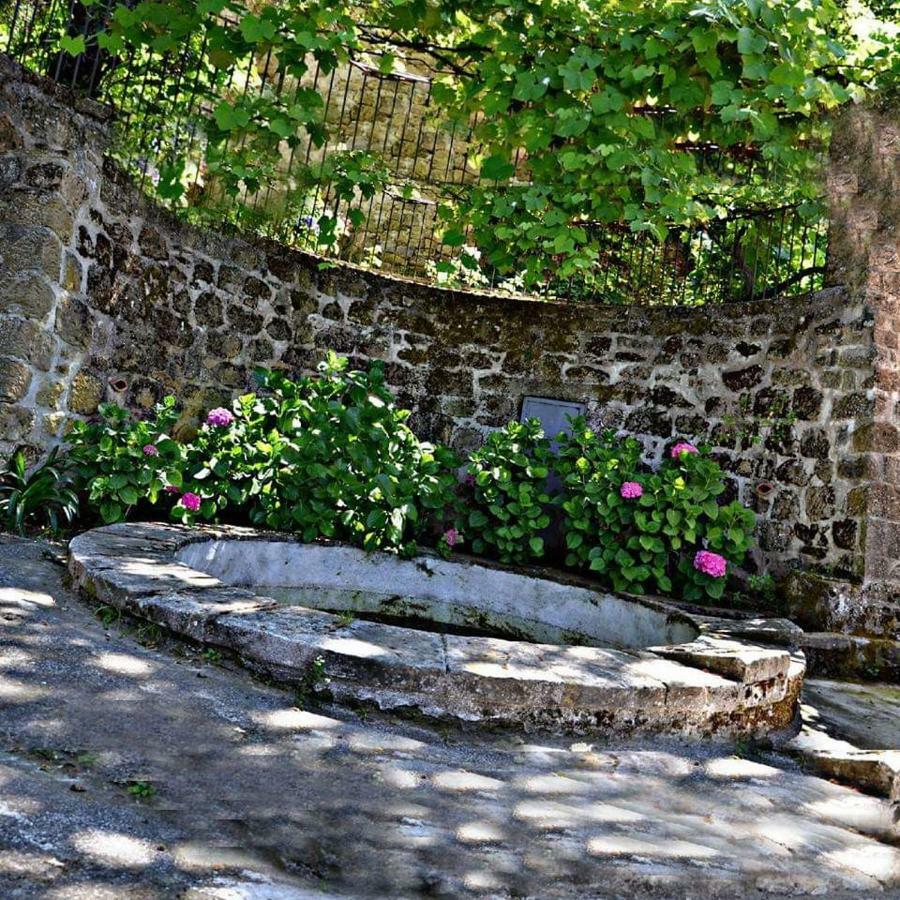 Valle Maira, Agriturismo Nel Parco Dei Nebrodi Villa Tortorici Luaran gambar